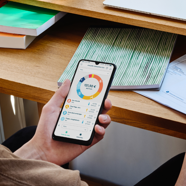(app ecojoko montrant les postes de consommation)